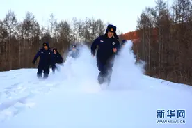 原始森林一公里有多长？“火焰蓝”告诉你图片
