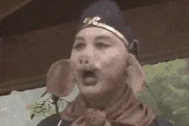 注意！东北此地，5000多头野猪出没……图片