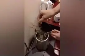 入住酒店时，为什么要烧壶开水倒进马桶？资深导游：照做就对了图片
