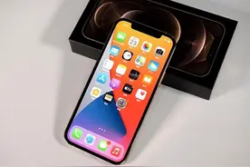 iPhone上素质最好的那块LCD屏：不做了图片