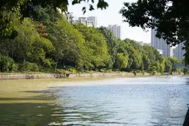 秋日骑行，杭州这些高颜值路线，运动赏景拍照，全了图片