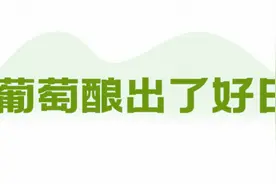 向总书记报告丨金鞍跃马好扬鞭图片