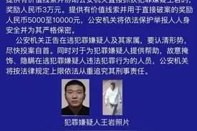 此人涉刑事案件，见到速报警图片