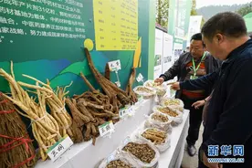 重庆开州：特色中药材种出“脱贫良方”图片