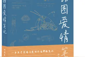 水生鲜物的爱情会影响口感？《海错图爱情笔记》让你吃得更有趣图片