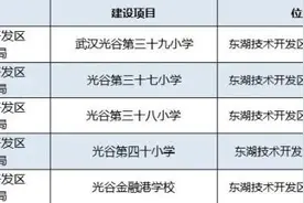 武汉又双叒叕新增一批中小学图片