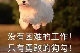地球不爆炸，“我们”不放假！图片