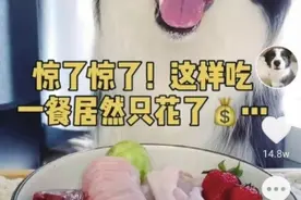 宠物吃播逐渐兴起 猎奇视频吸引流量 大胃王凉凉后宠物被迫“营业”？图片