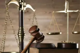 晶澳科技董事长靳保芳被立案调查，专家：留置时间最长可为6个月图片