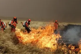 今天，致敬烈火英雄！面对火灾，你应该这样做……图片