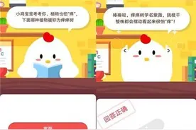 植物也怕痒下面哪种植物被称为痒痒树“痒痒树”如何怕痒？图片
