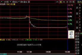 2.2万股东惊呆了！中午挂单下午闪崩，10秒内超23万手砸跌停，有散户一天亏损17000，啥情况？图片