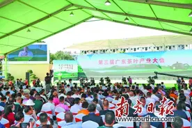 长寿之乡嘉应茶 一芽一叶吐芳华图片