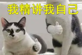 我为什么推荐你用China Daily学英语？图片