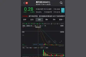 400亿市值灰飞烟灭！曾40天37涨停的超级白马谢幕图片
