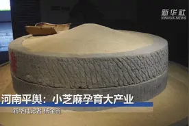 河南平舆：小芝麻孕育大产业
