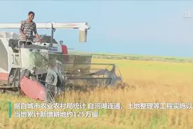 全面建成小康社会“百城千县万村调研行”｜吉林白城：昔日盐碱旱 今日米粮川视频封面