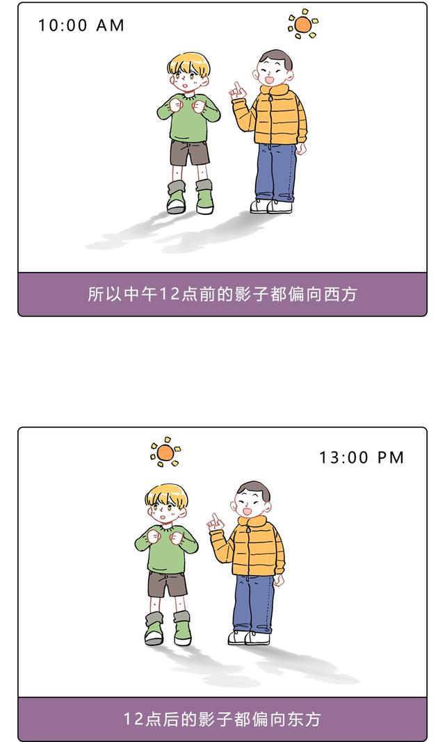 树叶稀疏的一面是哪面