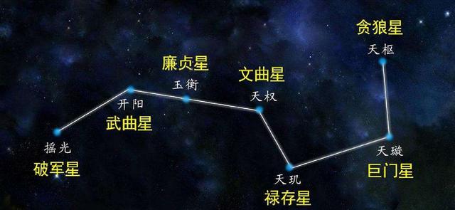 树叶稀疏的一面是哪面