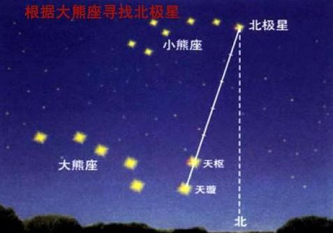 树叶稀疏的一面是哪面