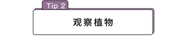 树叶稀疏的一面是哪面