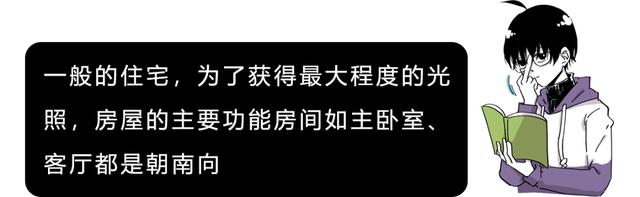 树叶稀疏的一面是哪面