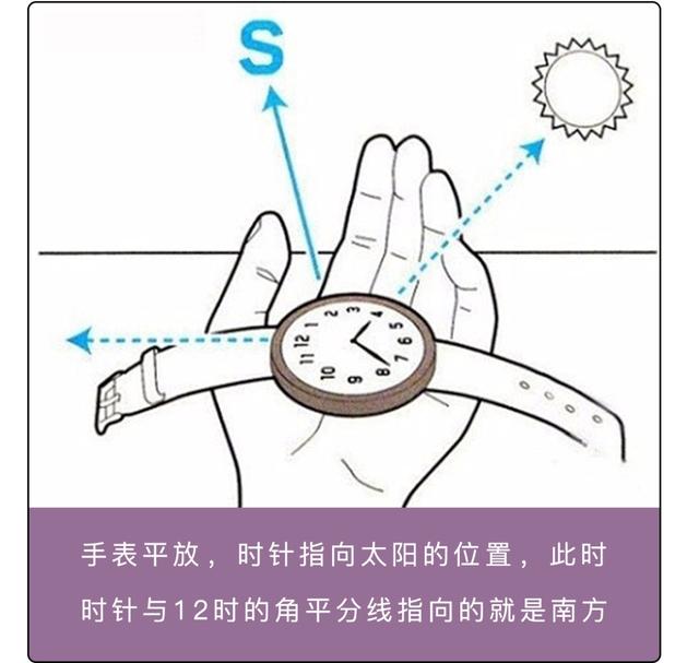树叶稀疏的一面是哪面
