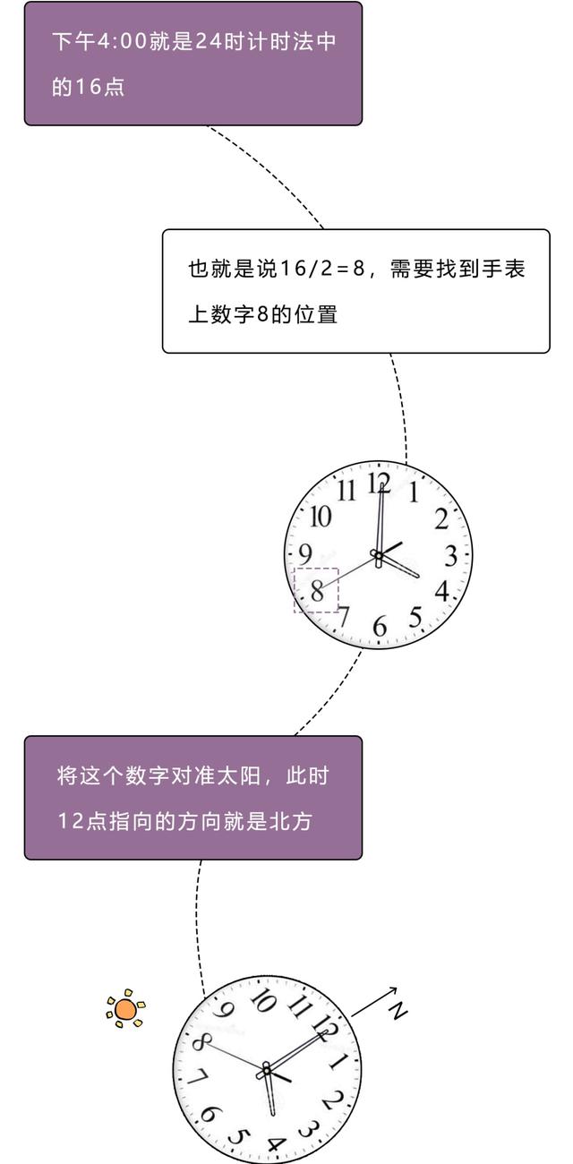树叶稀疏的一面是哪面