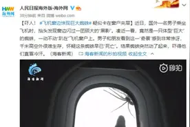 吓人！飞机窗边惊现巨大蜘蛛 疑似卡在窗户夹层图片