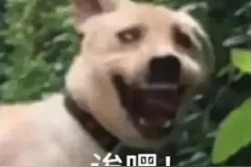 女孩每天一路狂奔踩点上班！老板同事为拍她，特意提前上班……图片