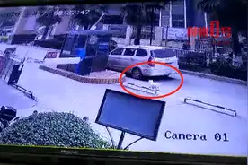 柳州业主宠物狗在小区走丢，被保安“打包”送往海吉星，公共视频拍下装狗一幕图片