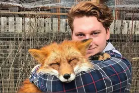 俄罗斯小哥从皮草农场救回小狐狸，如今这毛茸茸的大尾巴也太可了图片