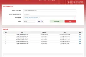 泰山钢铁集团被列为被执行人、旗下股权被冻结 曾称财务状况良好图片