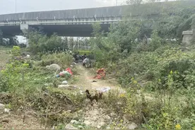 住桥洞的黑瘦“老人”，竟是名校毕业生、杀人犯？！安徽警方确认图片