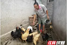 驻村日记丨王松涛：贫困户老陈的幸福脱贫路图片