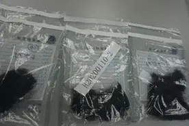 什么？发菜不是植物？图片