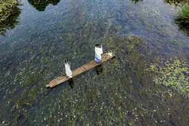 带你畅游宛如仙境的十里花河图片