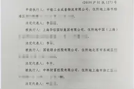 总价超3.86亿元 华信系徐汇苑27套豪宅被拍卖图片