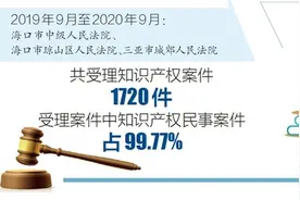 海口知识产权法庭成立一周年成绩斐然 知识产权司法保护不断增强图片
