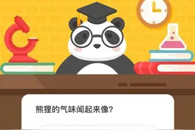 熊狸的气味闻起来像 森林驿站11月10日答案图片