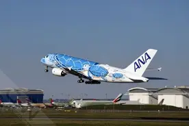 全日空将用B777和A380执飞观新年日出航班图片