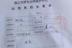 入户捣乱、拦路抢食，“泼猴”把村子当成“花果山”，被抓后发现它来头不小图片