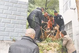 黄牛落屋顶 警民合力救图片