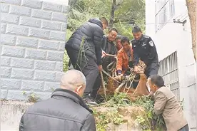 黄牛落屋顶 警民合力救图片