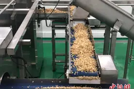 三峡库区企业绿色发展的“锦囊妙计”图片