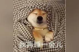 老底子上海人的棉花胎，你还记得吗？那份略带分量的温暖回来了图片