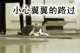 弹幕网站AcFun被告上法庭，赔60000元图片