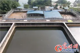 危化品船舶环保洗舱 重庆涪陵筑起长江绿色防护带图片