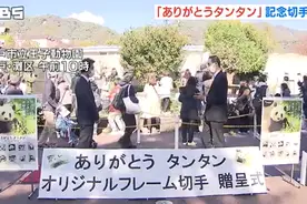 旅日20年熊猫将回国 日本用这种方式“让它永远留下”图片