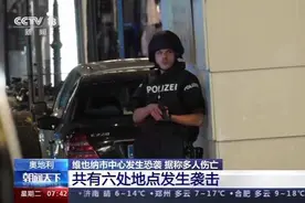 林醒：疫情之下更不太平，海外同胞多加小心图片